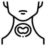 services__img